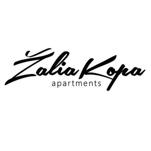 Zalia Kopa Apartments Παλάγκα Εξωτερικό φωτογραφία