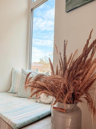 Zalia Kopa Apartments Παλάγκα Εξωτερικό φωτογραφία